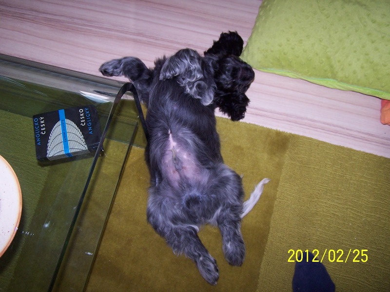 7 Obvykla_poloha_pri_spani.jpg